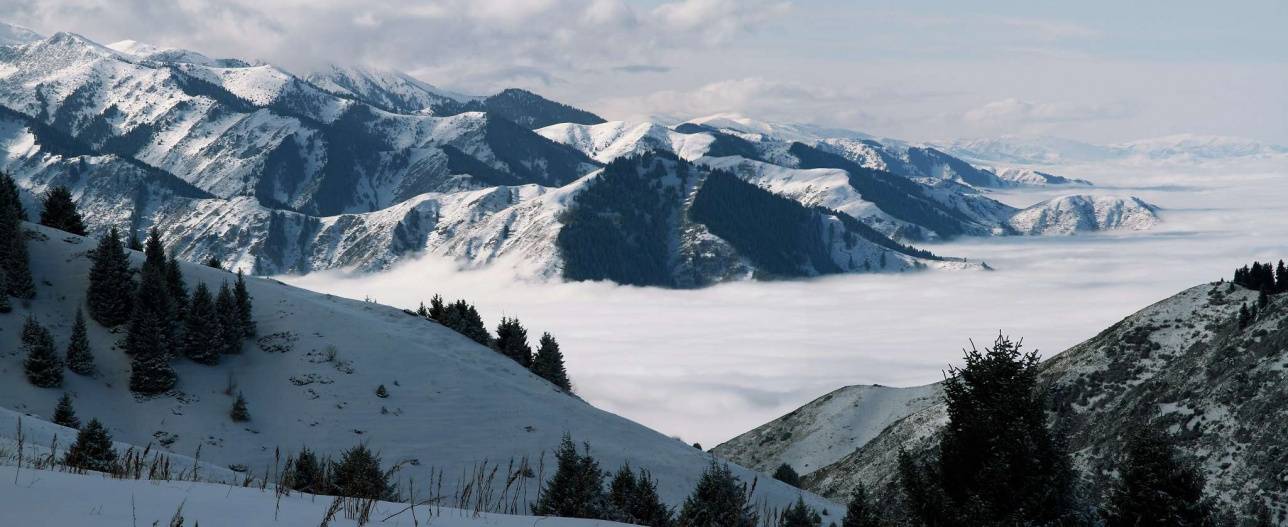 Панорама Кок-Жайляу