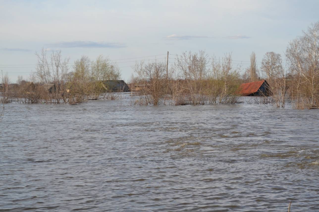 Под воду ушли не только одноэтажные дома